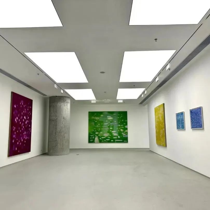 广东当代艺术中心新展：夜帘、星光、迭奏