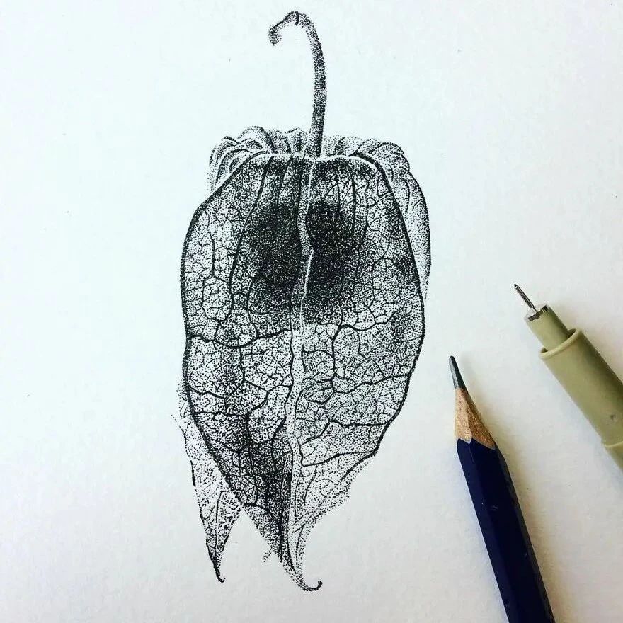 一幅画1600万个点,他点了1200多个小时,手都给点麻了