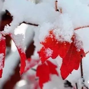 又是一年立冬时