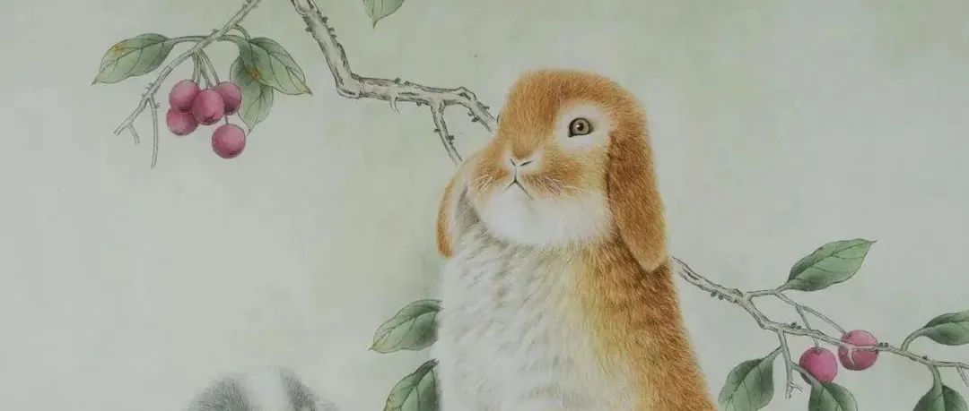 工笔兔子的绘制详解