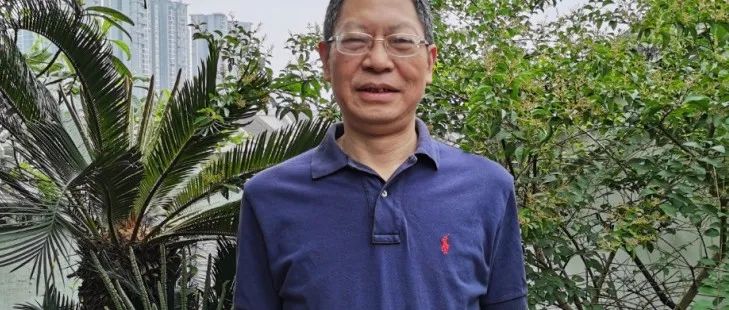 《果壳中的书法——试论书法美的基因（纲要）》