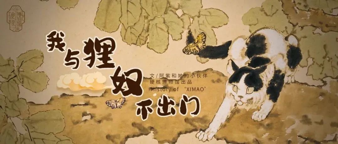 狸奴竟是它？猫主子黑历史大揭秘！