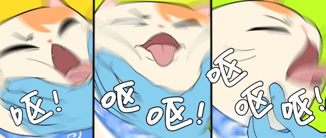 漫画 | 小奶猫也来做核酸？那些突如其来的爆笑骚操作！