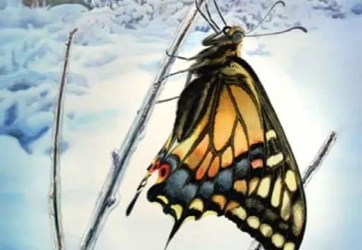 Paul Pitsker绘画作品欣赏