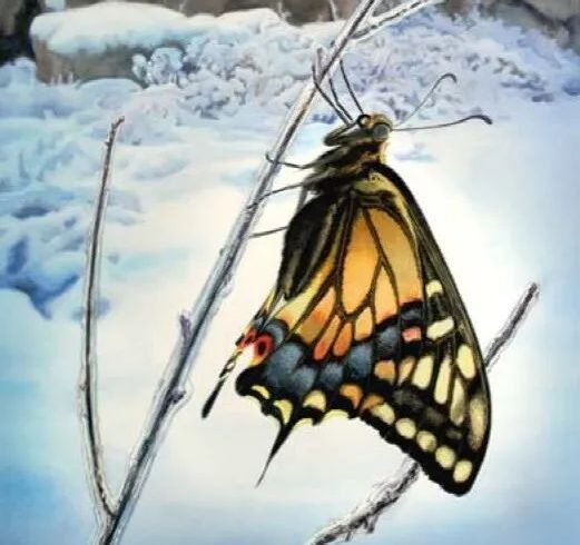 Paul Pitsker绘画作品欣赏