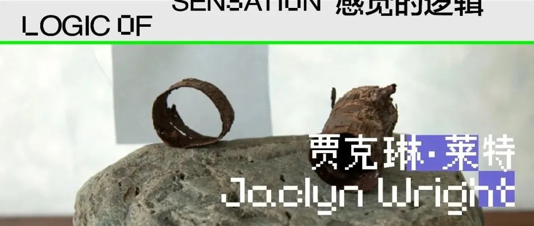 贾克琳·莱特：静物拍摄让我能从“无”中生 “有”