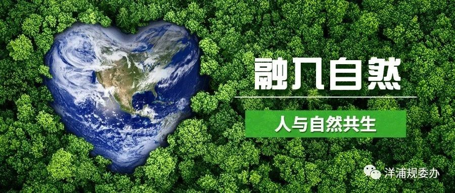 人、城市、自然共生：新加坡 SIMPANG 新镇的规划探索