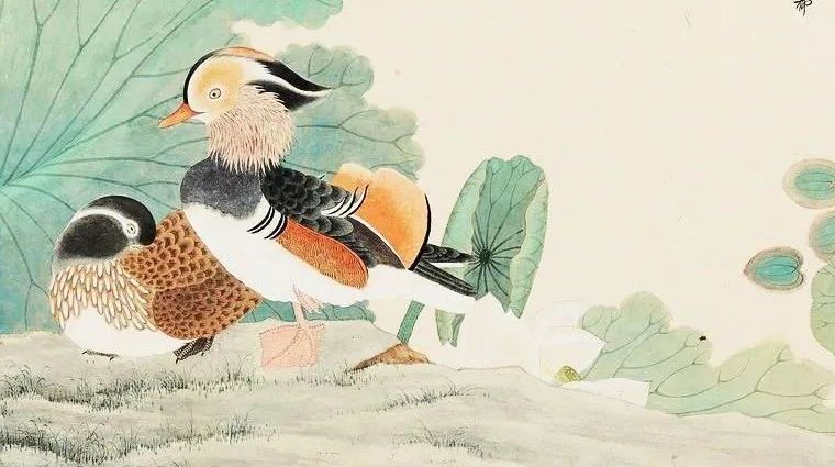 情人节，赏国画里的鸳鸯