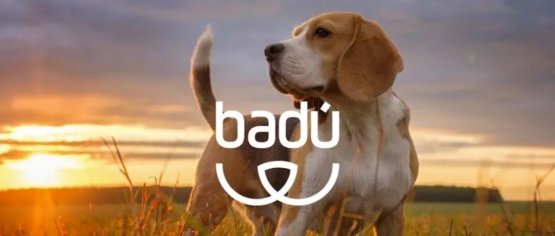 品牌识别与包装 | Badú