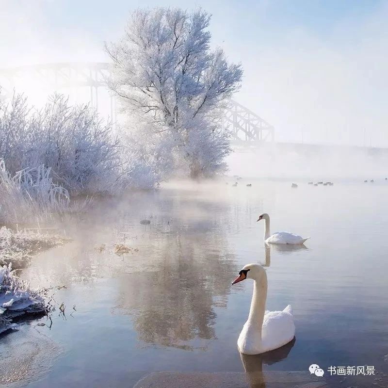 一组极美的雪景图片
