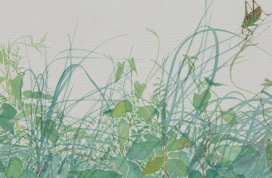 野生的花园 ║ 李恩成