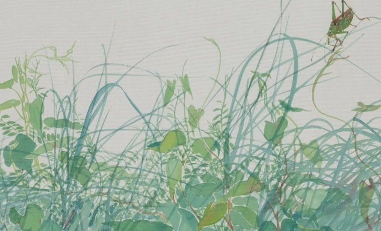 野生的花园 ║ 李恩成