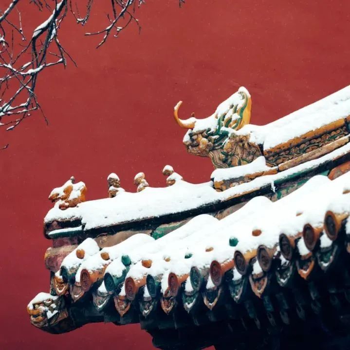 故宫下雪了！他潜伏7年拍下281张照片，清华教授忍不住赞叹：每一张都一眼万年