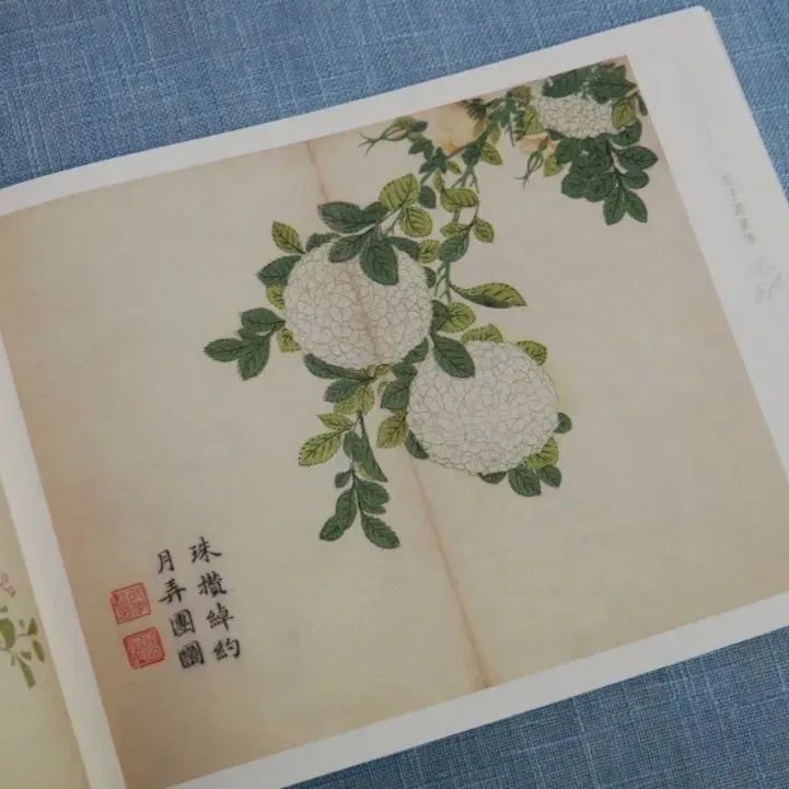 火了300多年的奇书，没有一句废话，没有一处败笔！