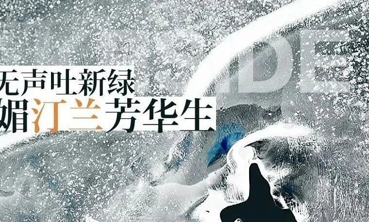 【作品】2023雨水节气微信精选
