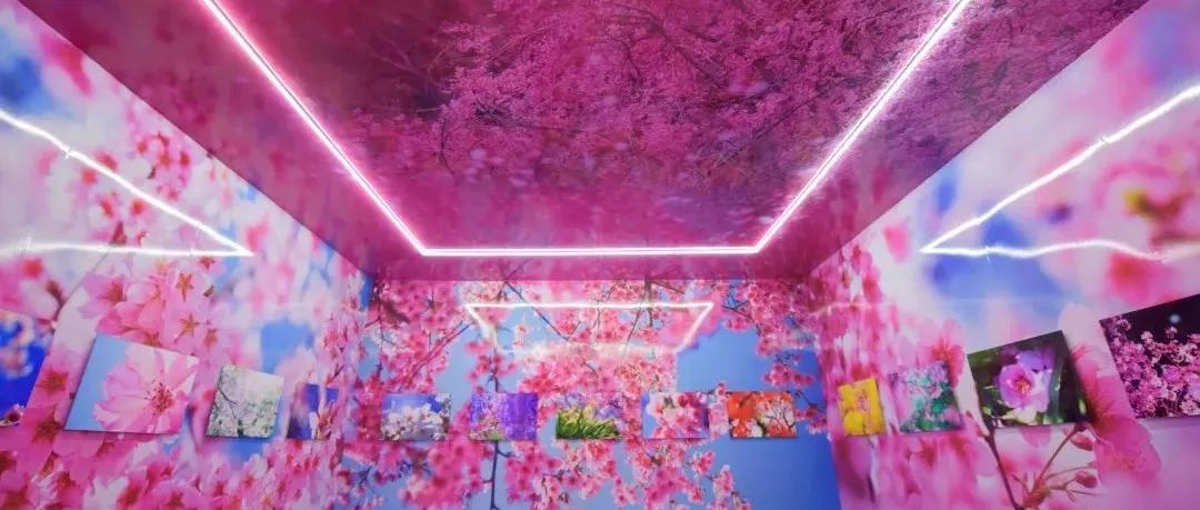 春天，去看蜷川实花的“花花世界”