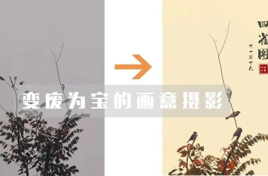 这张手机拍的“废片”，竟然还能这样后期处理