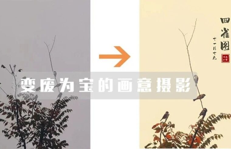 这张手机拍的“废片”，竟然还能这样后期处理