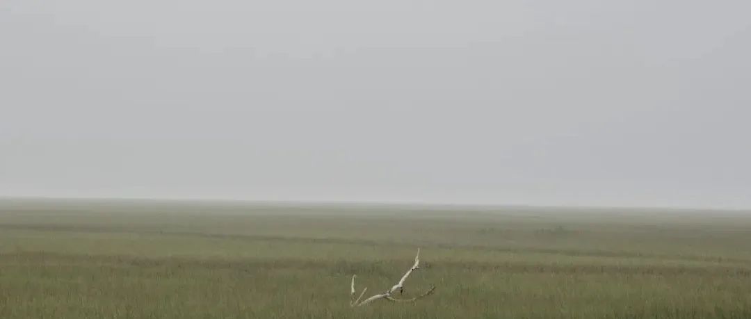 你真的看懂了《浮·生》吗？