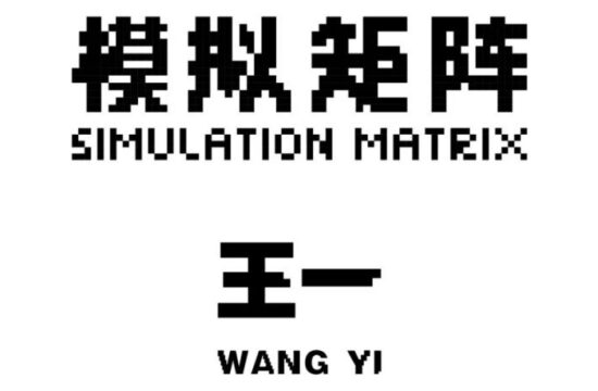 图集 | 「模拟矩阵」王一个展