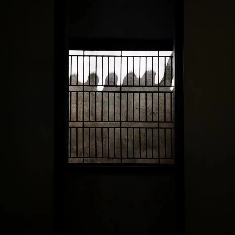 突发｜风景园林取消一级学科？