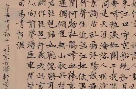 “野生书法家”司马南，停嘴不停笔