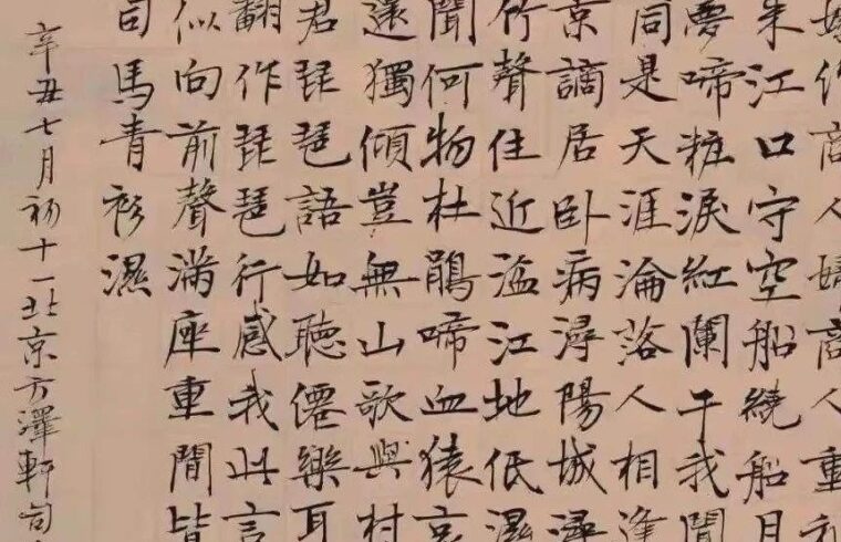 “野生书法家”司马南，停嘴不停笔