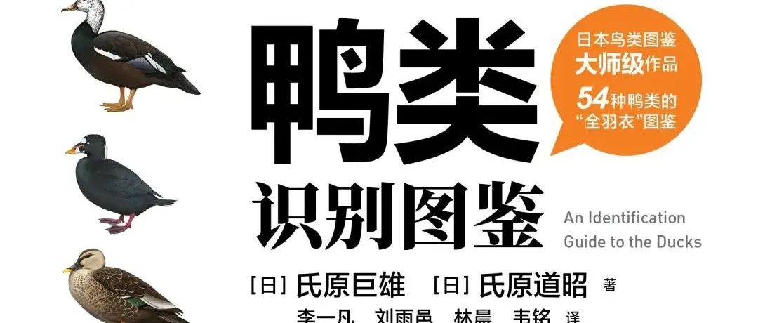 极致鸭鸭指南，传说中的“鸭宝书”重磅官宣！