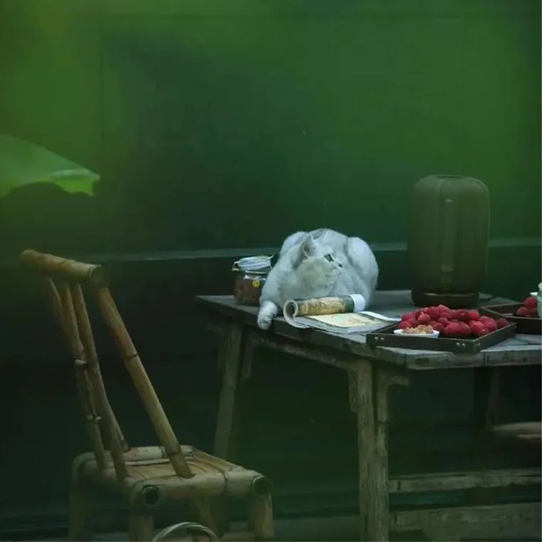 大 暑