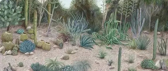 佩姬·吉扬·穆恩 作品