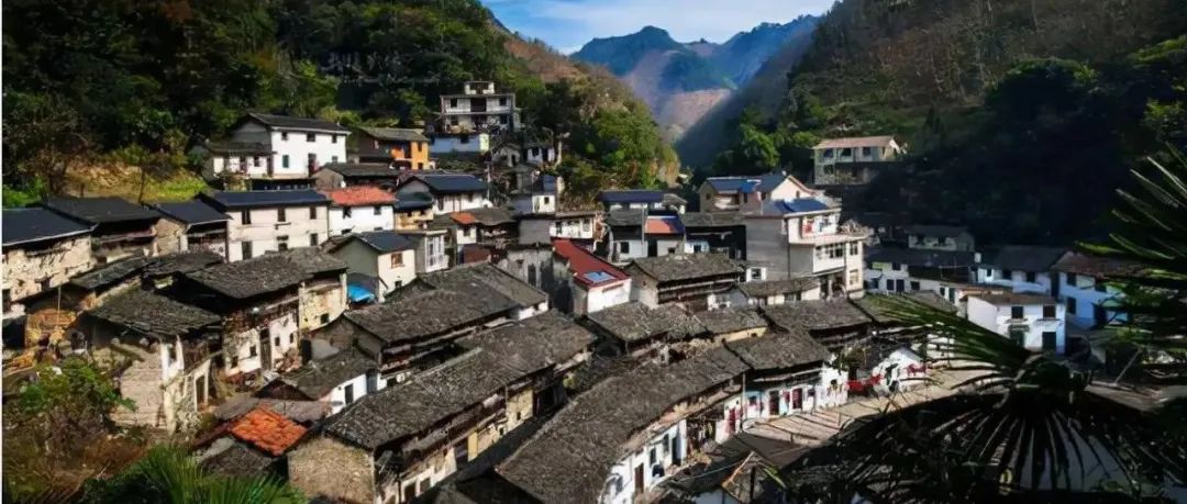 乡村振兴|市场引领下的临安村落景区运营模式可否复制？