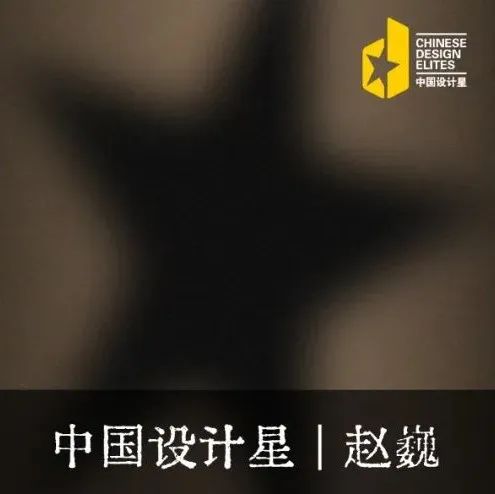 中国设计星 | 赵巍：逆向创思，设计生活的别样之美