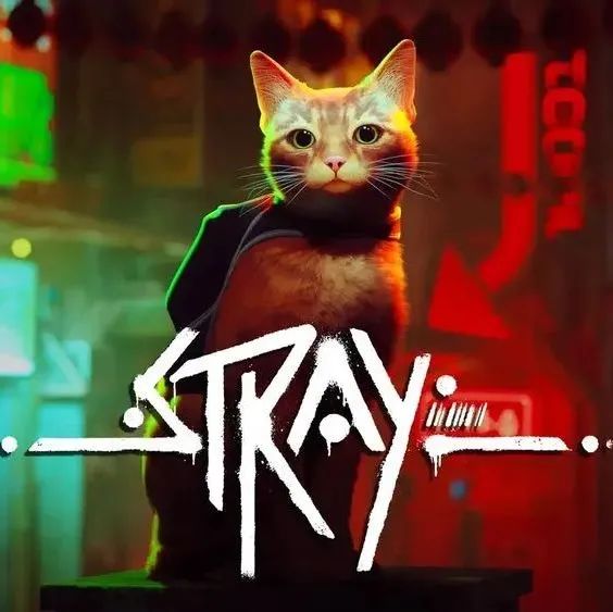 【海外】《Stray》: 跟着猫咪冒险如何让玩家好评如潮
