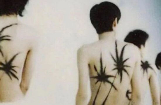 今天你看阿凯夫了没 Crazy Archives！！