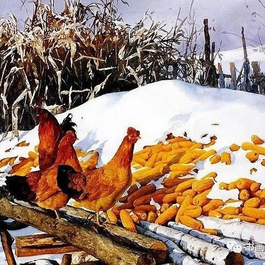 家乡的雪，美极了！