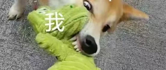 走近黑岩，揭露保安不为人知的秘密....