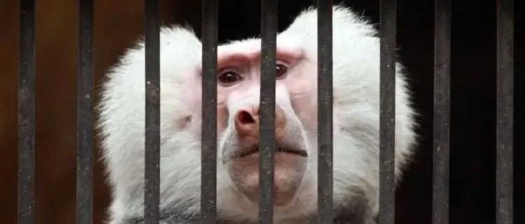 某设计院通知:为减少加班人员吃饭时间，请务必在院里就餐，但加班不超过八点半的就别吃了...