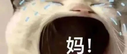天太冷了，我想吃口烤红薯，我有错吗？
