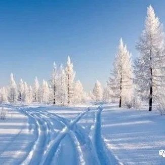 静静的去看雪
