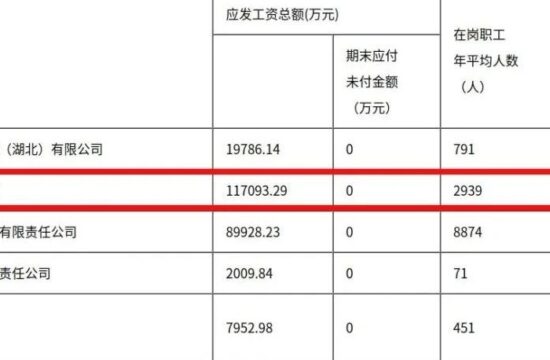 部属水利设计院有多香？平均薪酬超39万，应发工资11.7亿！
