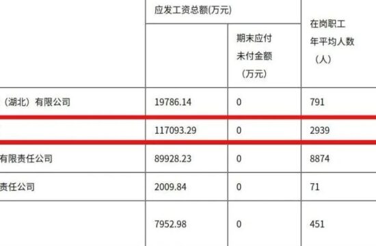 部属水利设计院有多香？平均薪酬超39万，应发工资11.7亿！