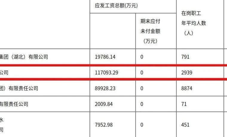 部属水利设计院有多香？平均薪酬超39万，应发工资11.7亿！