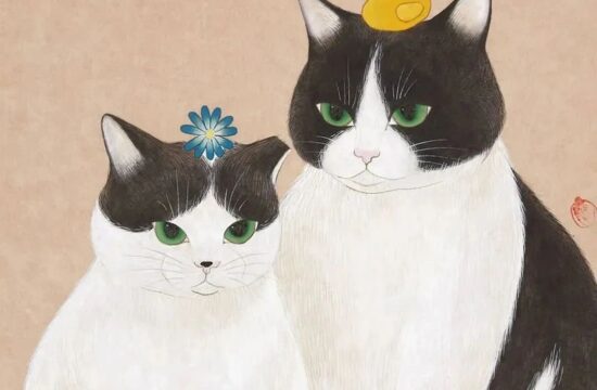 萌帅又可爱的猫咪！