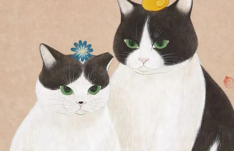 萌帅又可爱的猫咪！
