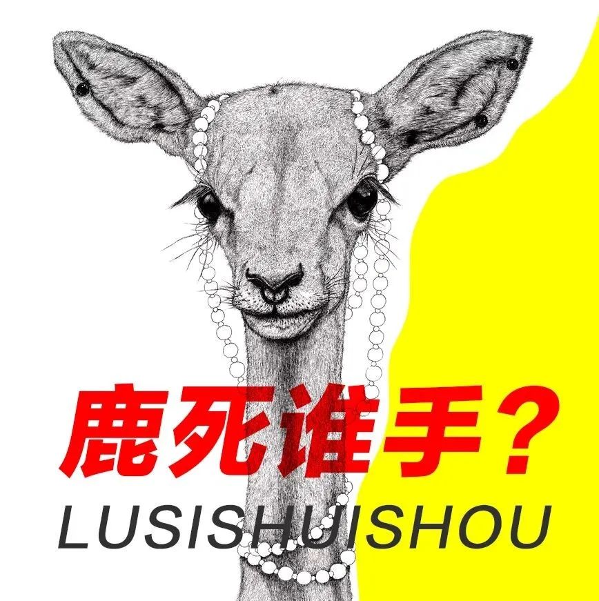 北服考研成功秘籍 | 与时间赛跑，专业排名全国第六！学姐教你规划考研时间。