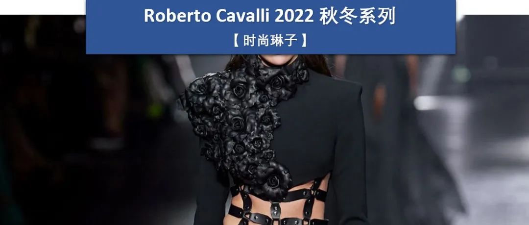 意大利品牌Roberto Cavalli 2022秋冬系列延续了蜘蛛侠女友赞达亚复古礼服裙的极致性感风