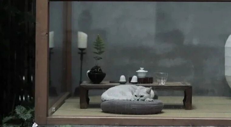 懂生活的人，就是艺术家