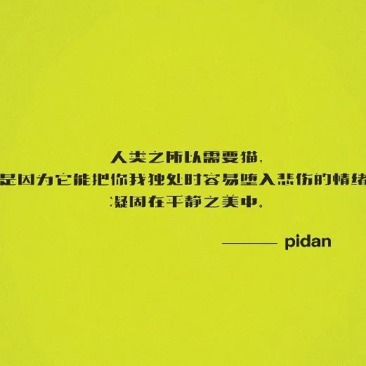 pidan 与毕赣推出品牌首支短片《破碎太阳之心》