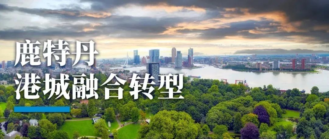 鹿特丹：城市转型始于港区更新！