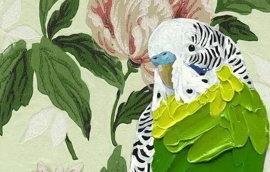 单看细节也能美成一幅花鸟画